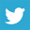 twitter-icon